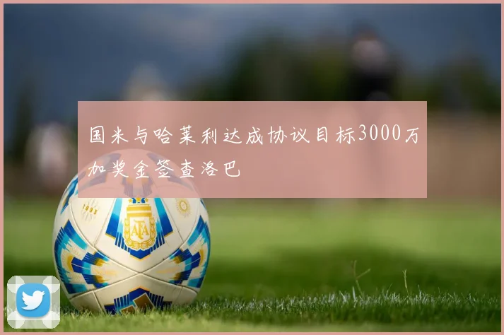 国米与哈莱利达成协议目标3000万加奖金签查洛巴